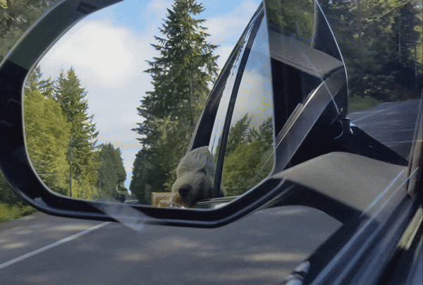 Rivian R1T R1S Official Rivian Event: Launch Mode at Pacific Raceways (Kent, WA) on July 10 -- RSVP Here 1000011314