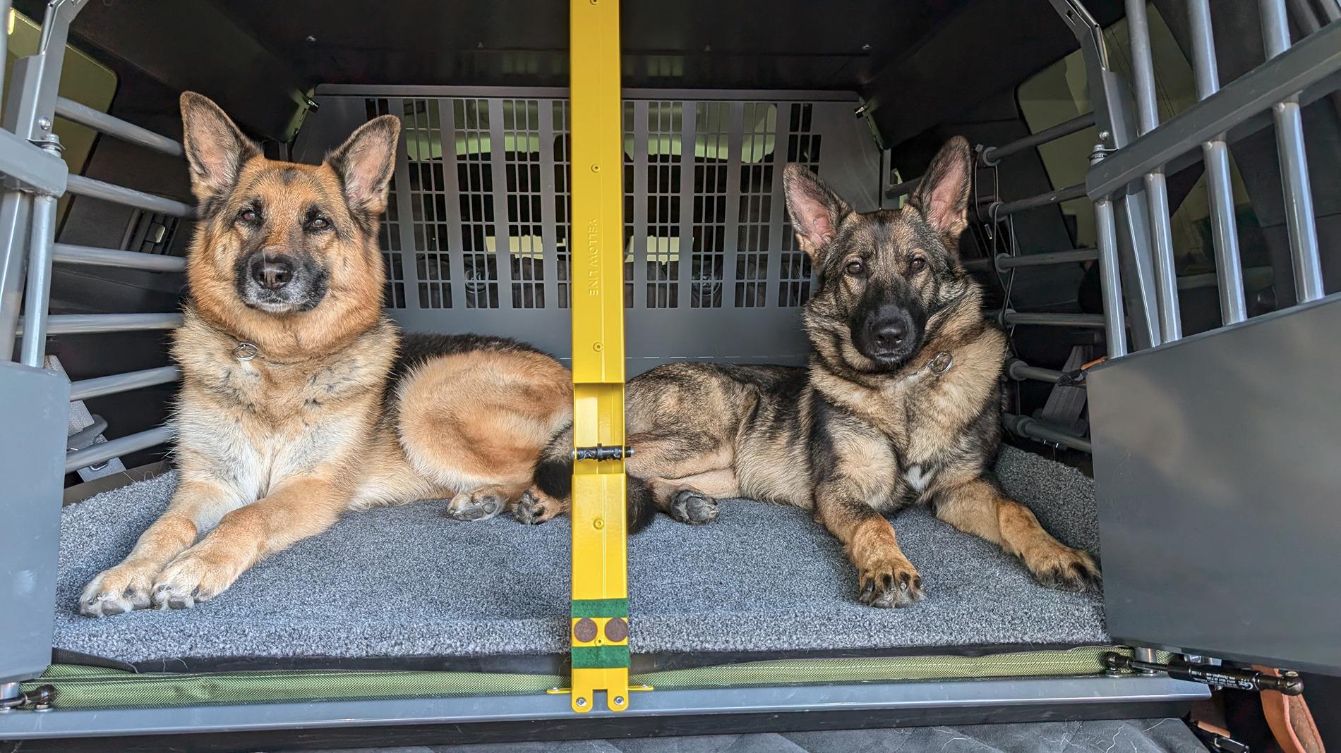 Rivian R1T R1S Dogs and Rivians ? PXL_20240621_233631507