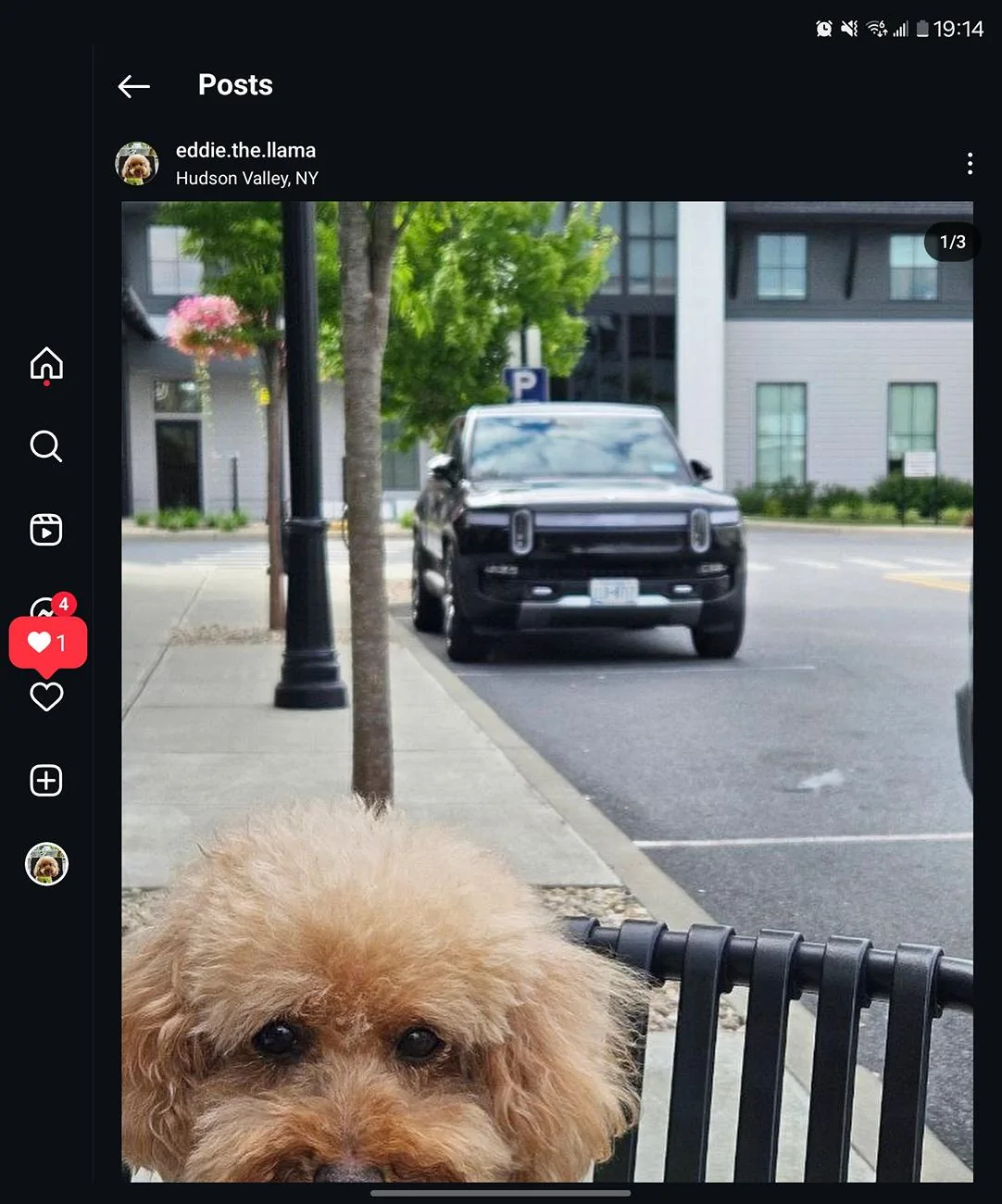 Rivian R1T R1S Dogs and Rivians ? Screenshot_20240711_191449_Instagram