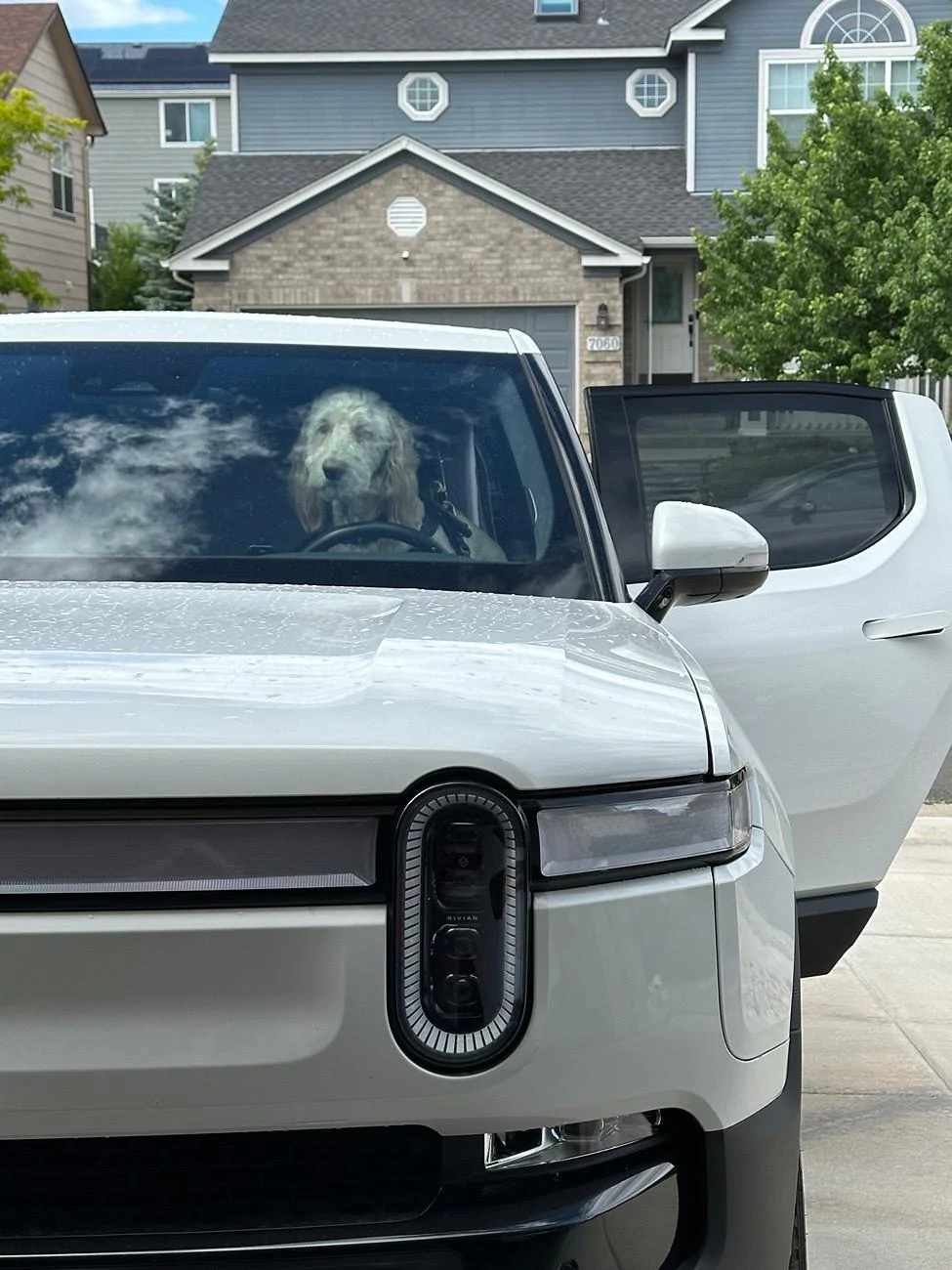 Rivian R1T R1S Dogs and Rivians ? IMG_5983