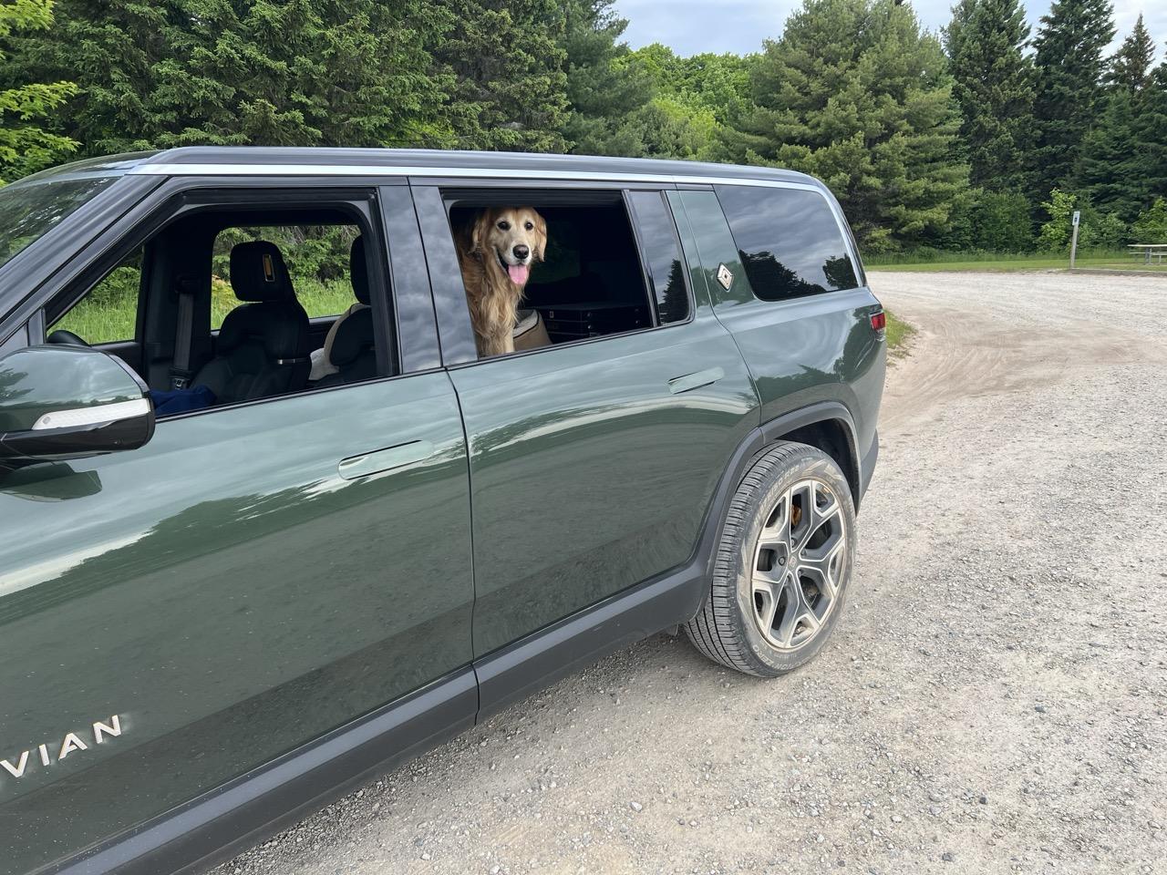 Rivian R1T R1S Dogs and Rivians ? gold in rivian