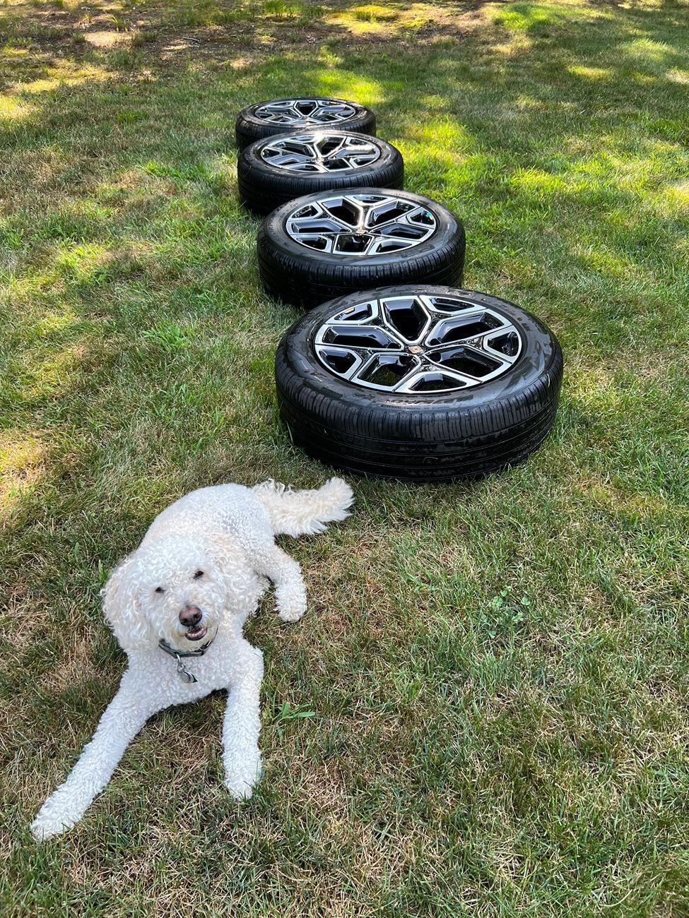 Rivian R1T R1S FS: Full Set 22" Bright OEM Wheels and Tires IMG_6422