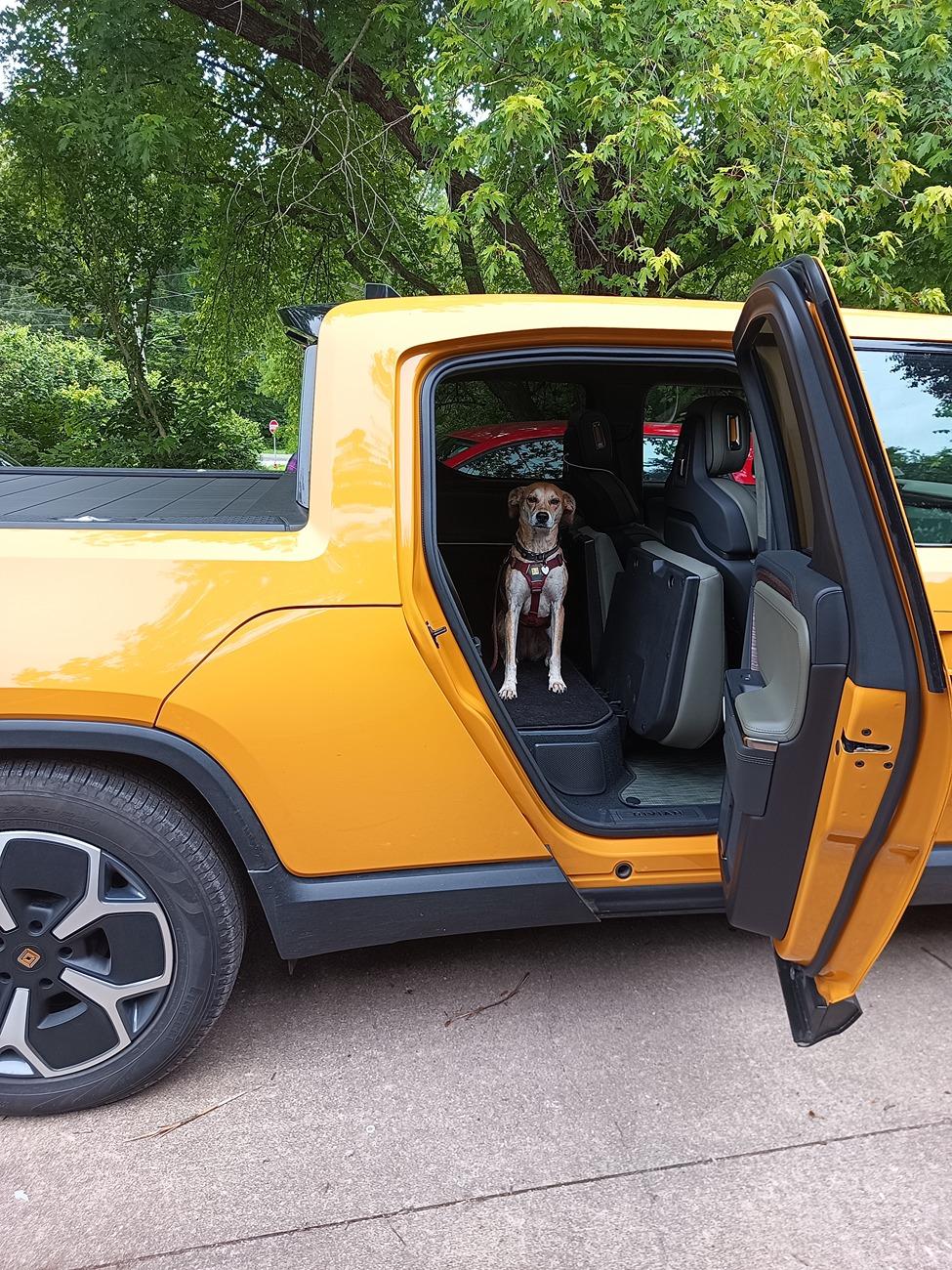 Rivian R1T R1S What'd you name / nickname your Rivian? 1000010867