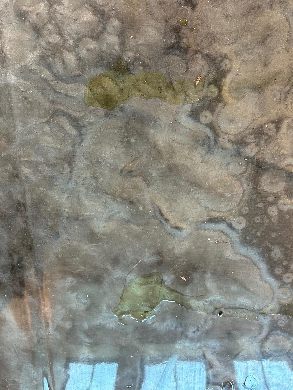 Rivian R1T R1S Oil leak - maybe rear drive? [RESOLVED] IMG_5857
