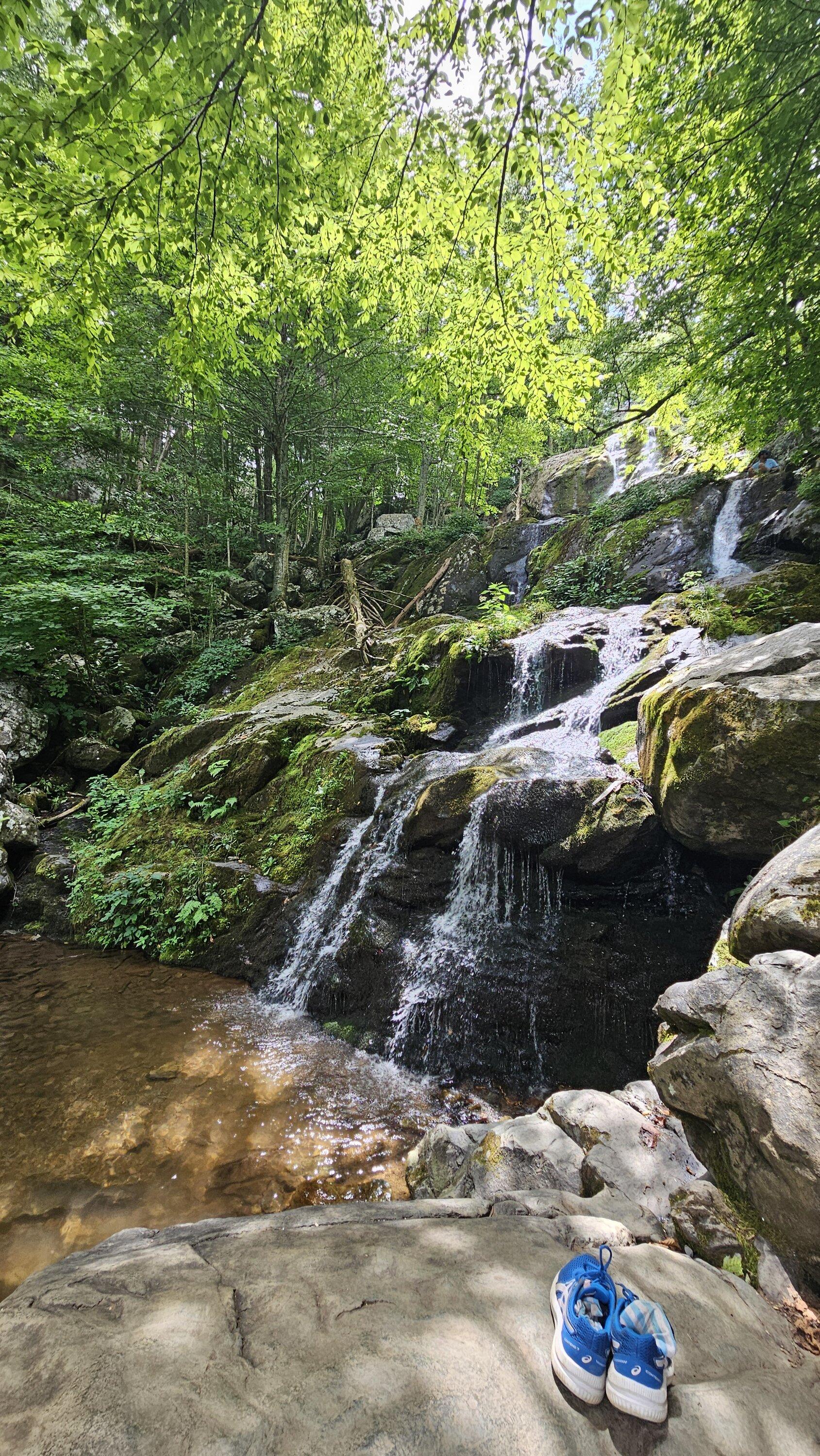 Rivian R1T R1S Took the R1S to Big Meadows in Shenandoah National Park (VA) for weekend glamp out. 1000019144