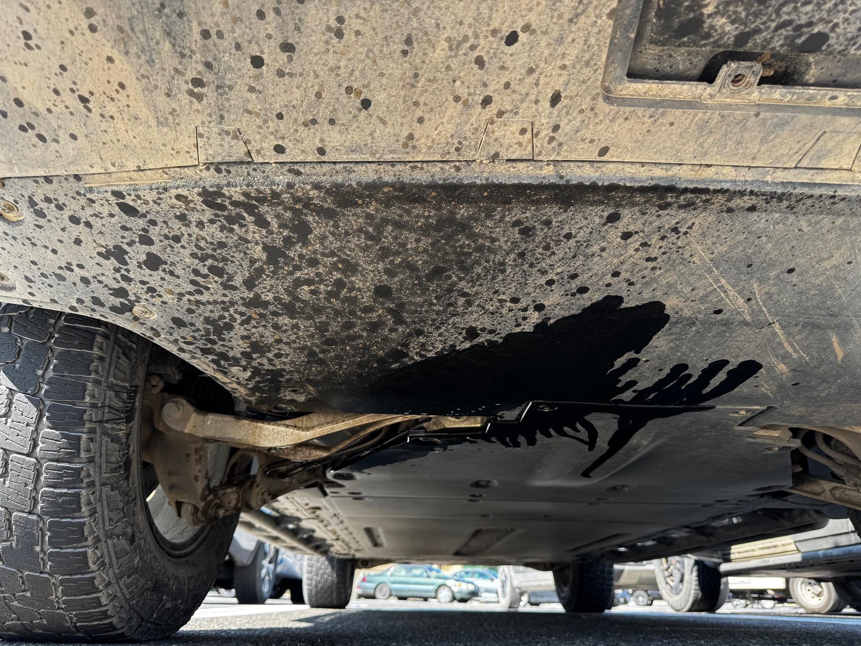 Rivian R1T R1S Jounce Lines Replacement (Fixed Squeaky Suspension) + Other Service Notes IMG_8091