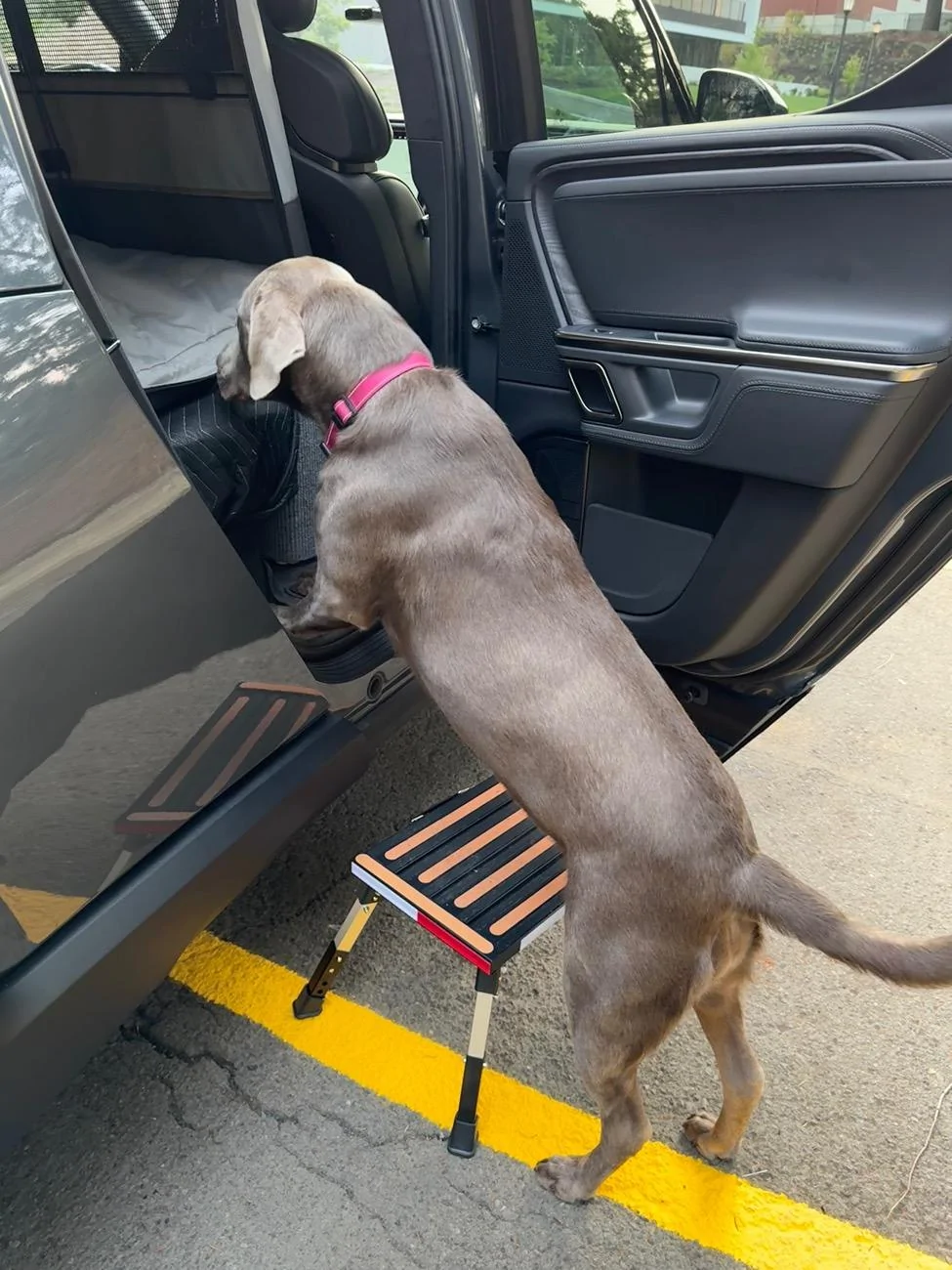 Rivian R1T R1S Attention R1T Dog Owners: I May Have Created the Perfect Dog Set-Up for the Back Seat (with caveats) 5