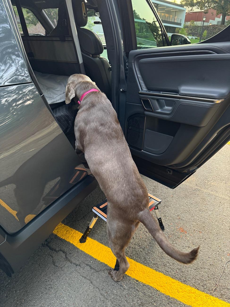 Rivian R1T R1S Attention R1T Dog Owners: I May Have Created the Perfect Dog Set-Up for the Back Seat (with caveats) 6