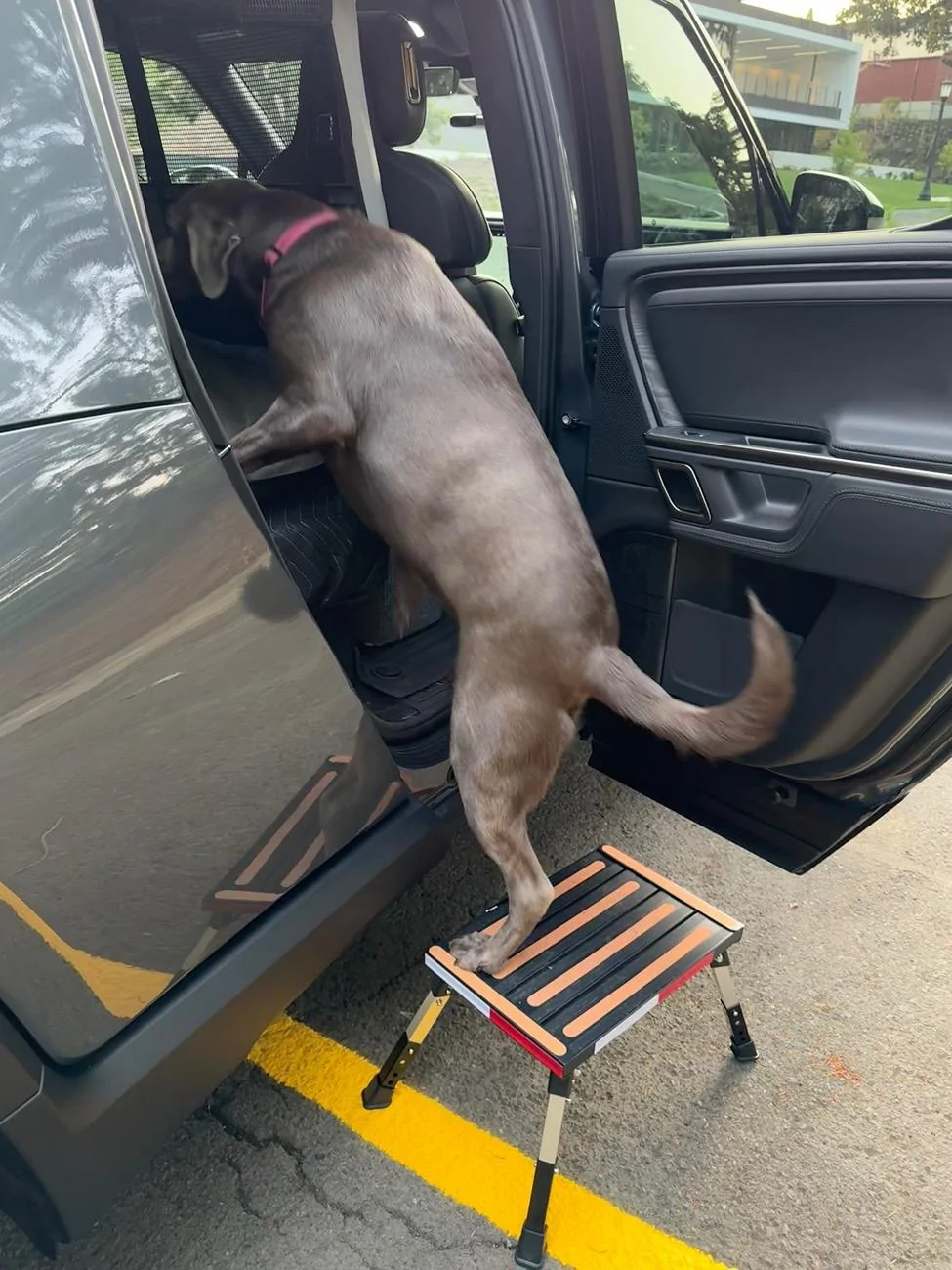 Rivian R1T R1S Attention R1T Dog Owners: I May Have Created the Perfect Dog Set-Up for the Back Seat (with caveats) 7