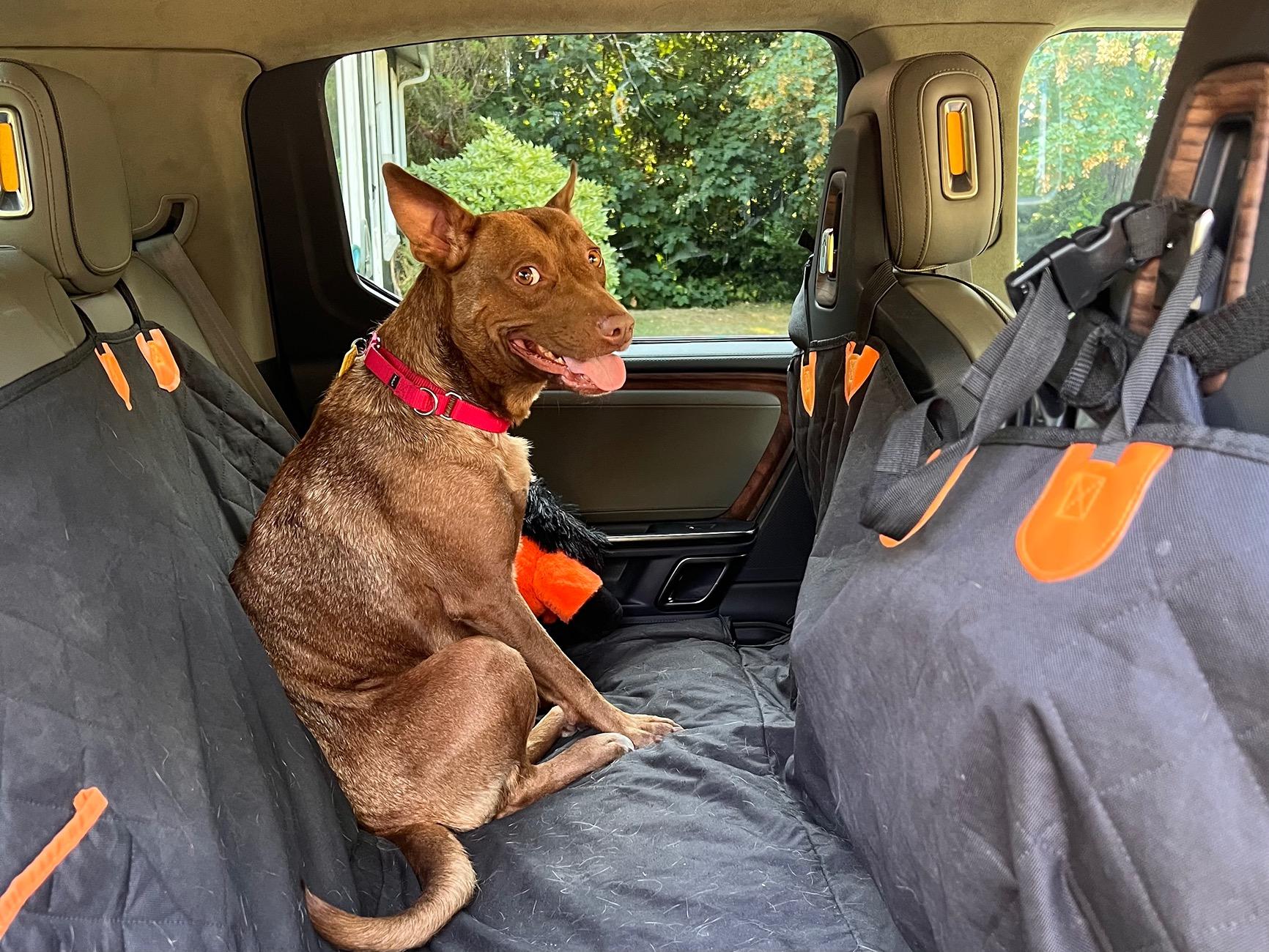 Rivian R1T R1S Attention R1T Dog Owners: I May Have Created the Perfect Dog Set-Up for the Back Seat (with caveats) IMG_9764