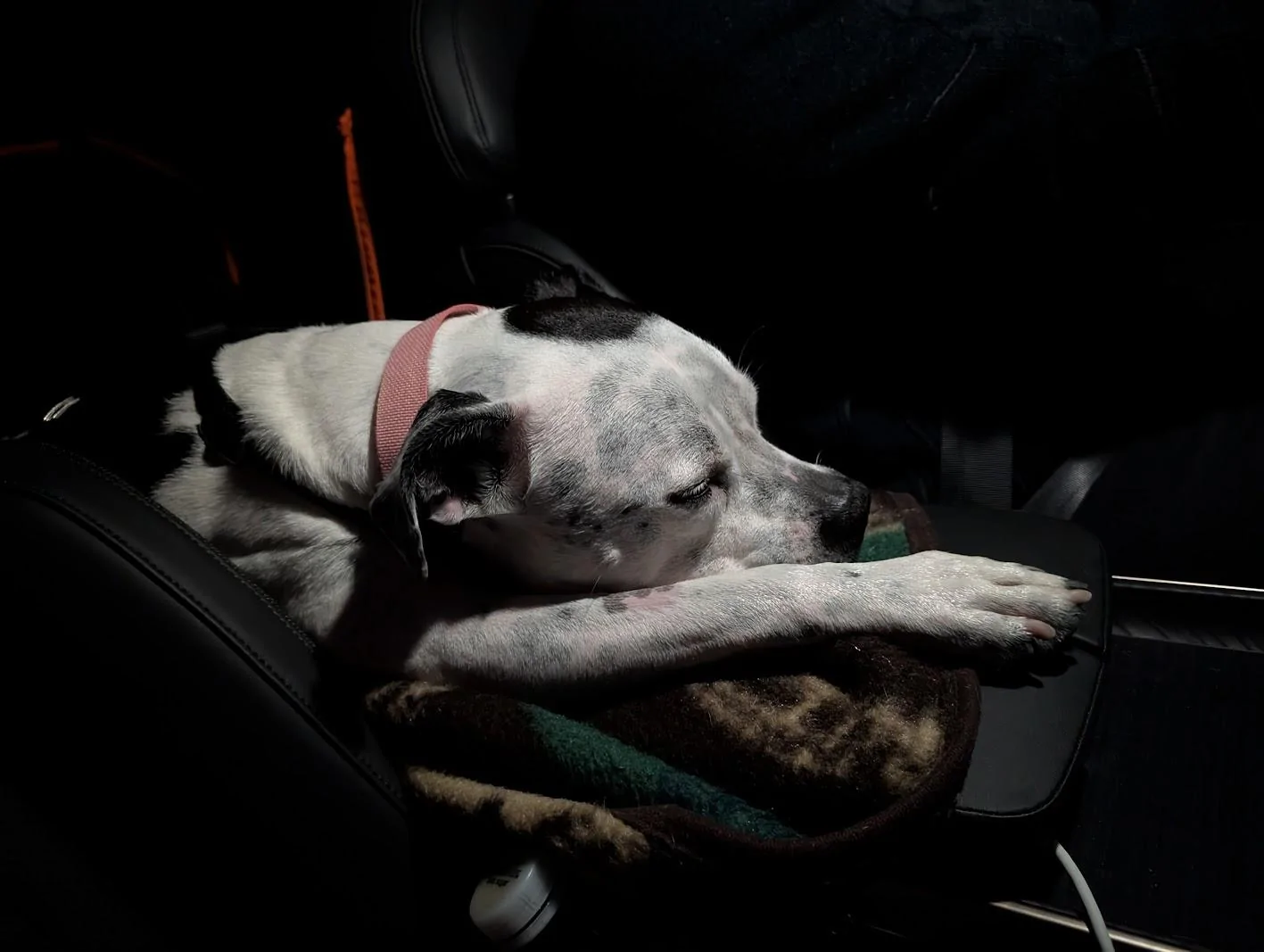 Rivian R1T R1S Attention R1T Dog Owners: I May Have Created the Perfect Dog Set-Up for the Back Seat (with caveats) 1725596001122-nj