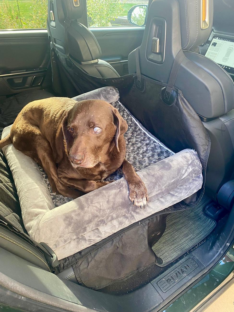 Rivian R1T R1S Attention R1T Dog Owners: I May Have Created the Perfect Dog Set-Up for the Back Seat (with caveats) 1725665375012-dm