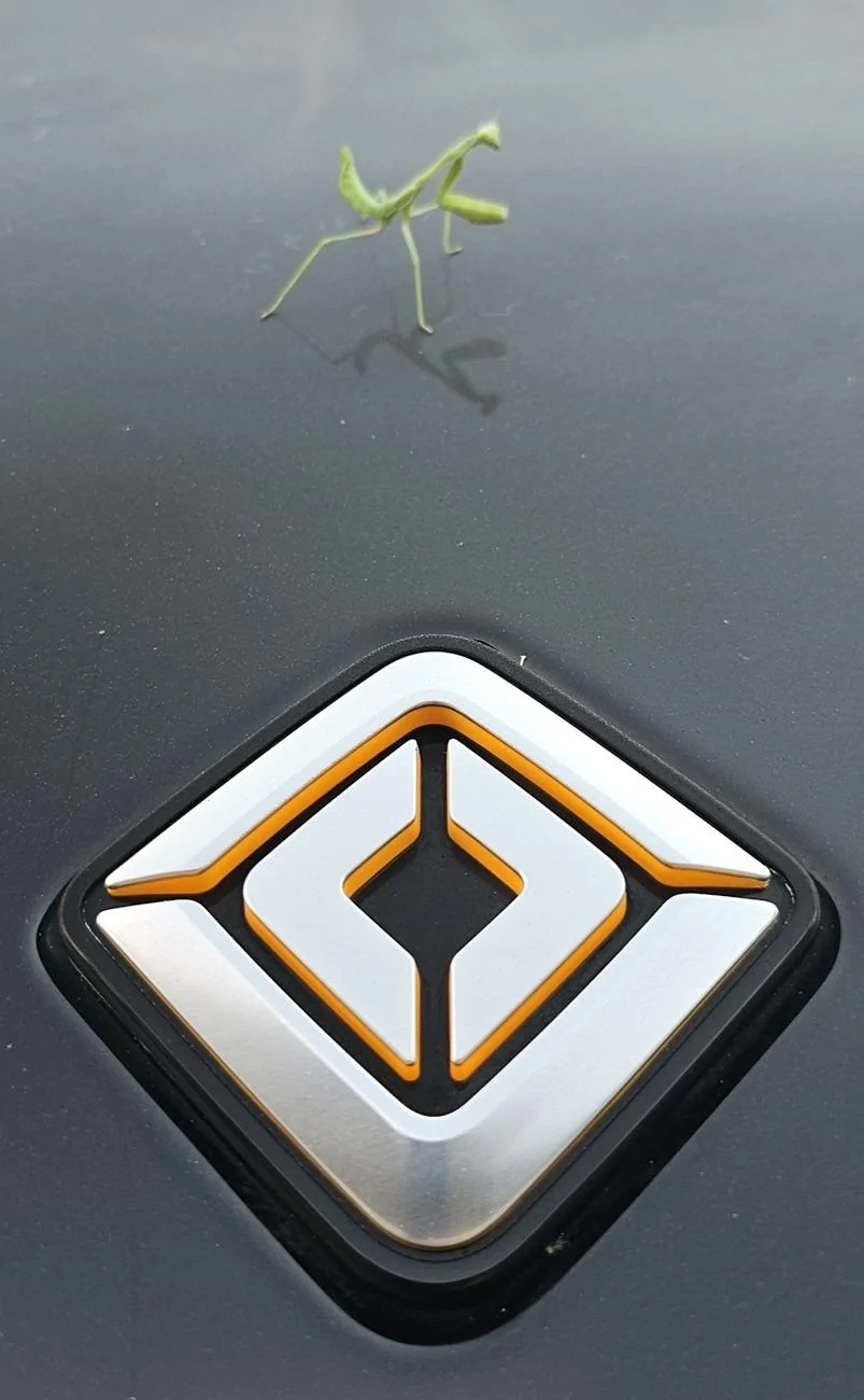 Rivian R1T R1S MIDNIGHT (Black) Rivian Photos 1000059843