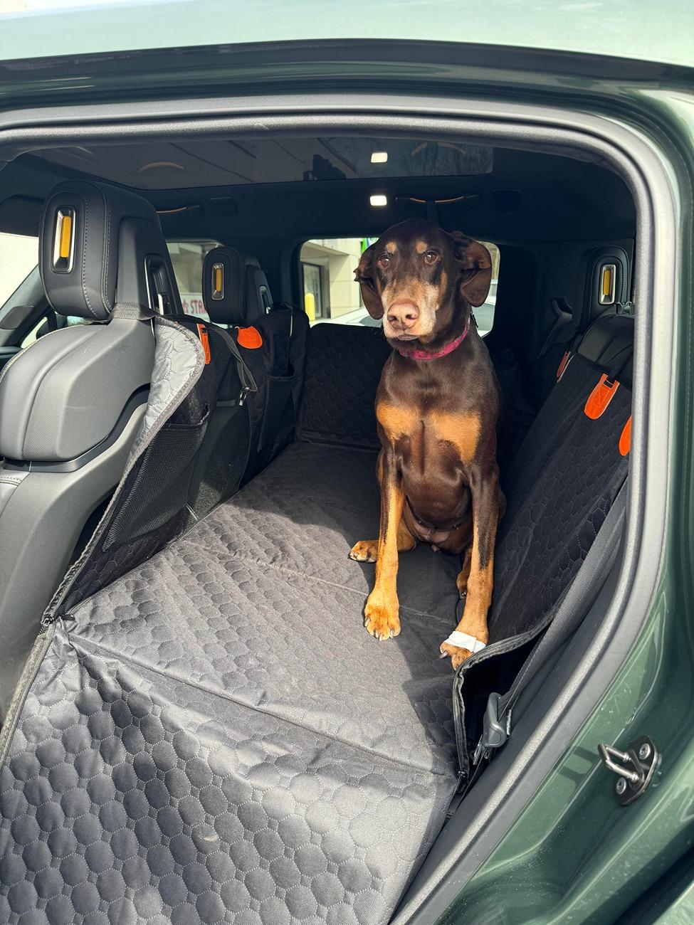 Rivian R1T R1S Attention R1T Dog Owners: I May Have Created the Perfect Dog Set-Up for the Back Seat (with caveats) unnamed (1)