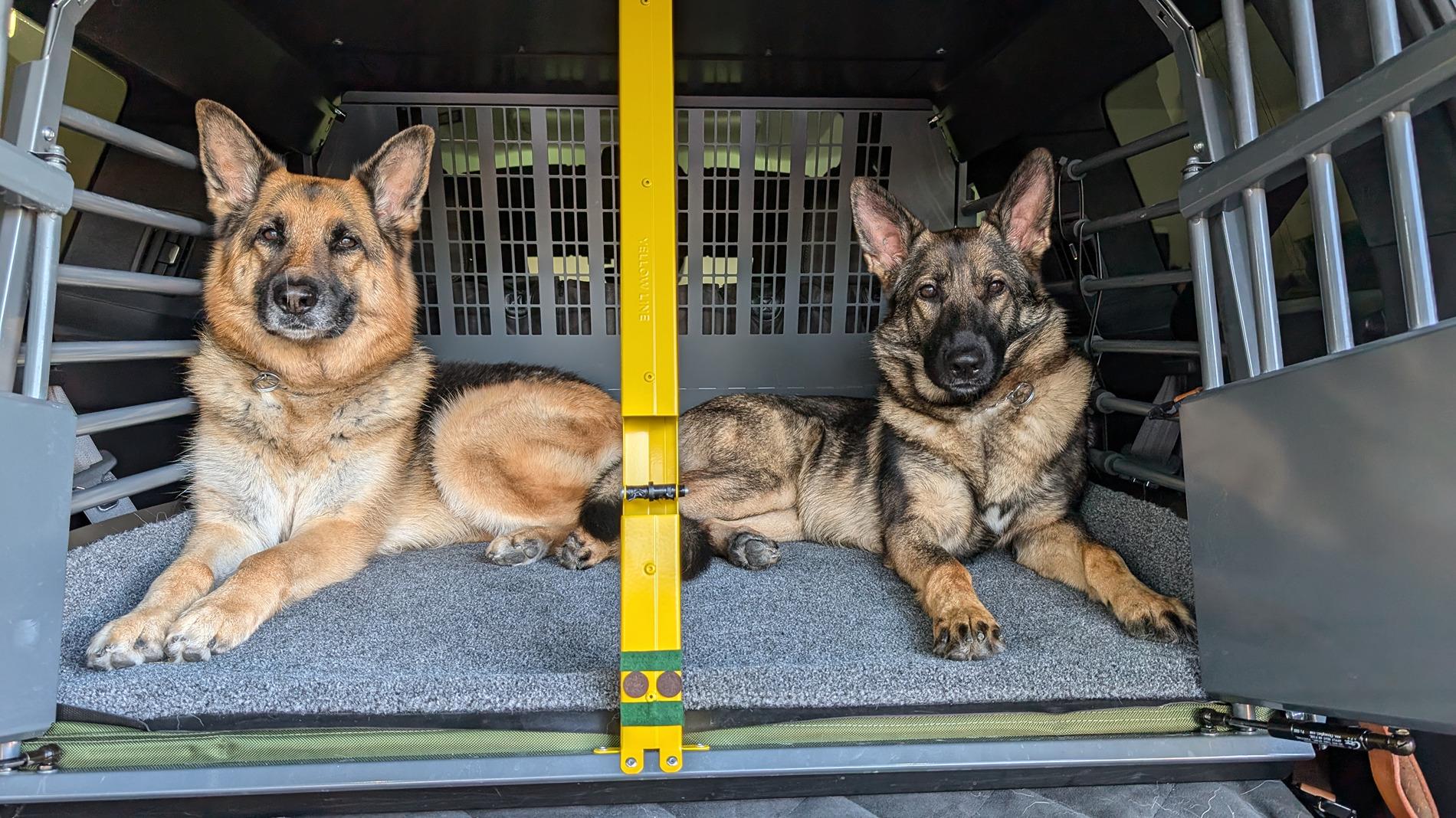 Rivian R1T R1S Anyone using the third-row (R1S) for dog transport PXL_20240621_233631507