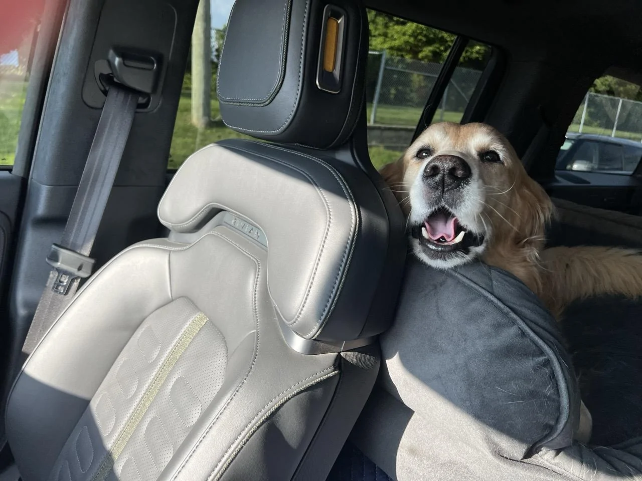 Rivian R1T R1S Anyone using the third-row (R1S) for dog transport dog