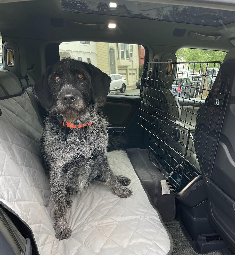 Rivian R1T R1S Anyone using the third-row (R1S) for dog transport 1727191191394-us