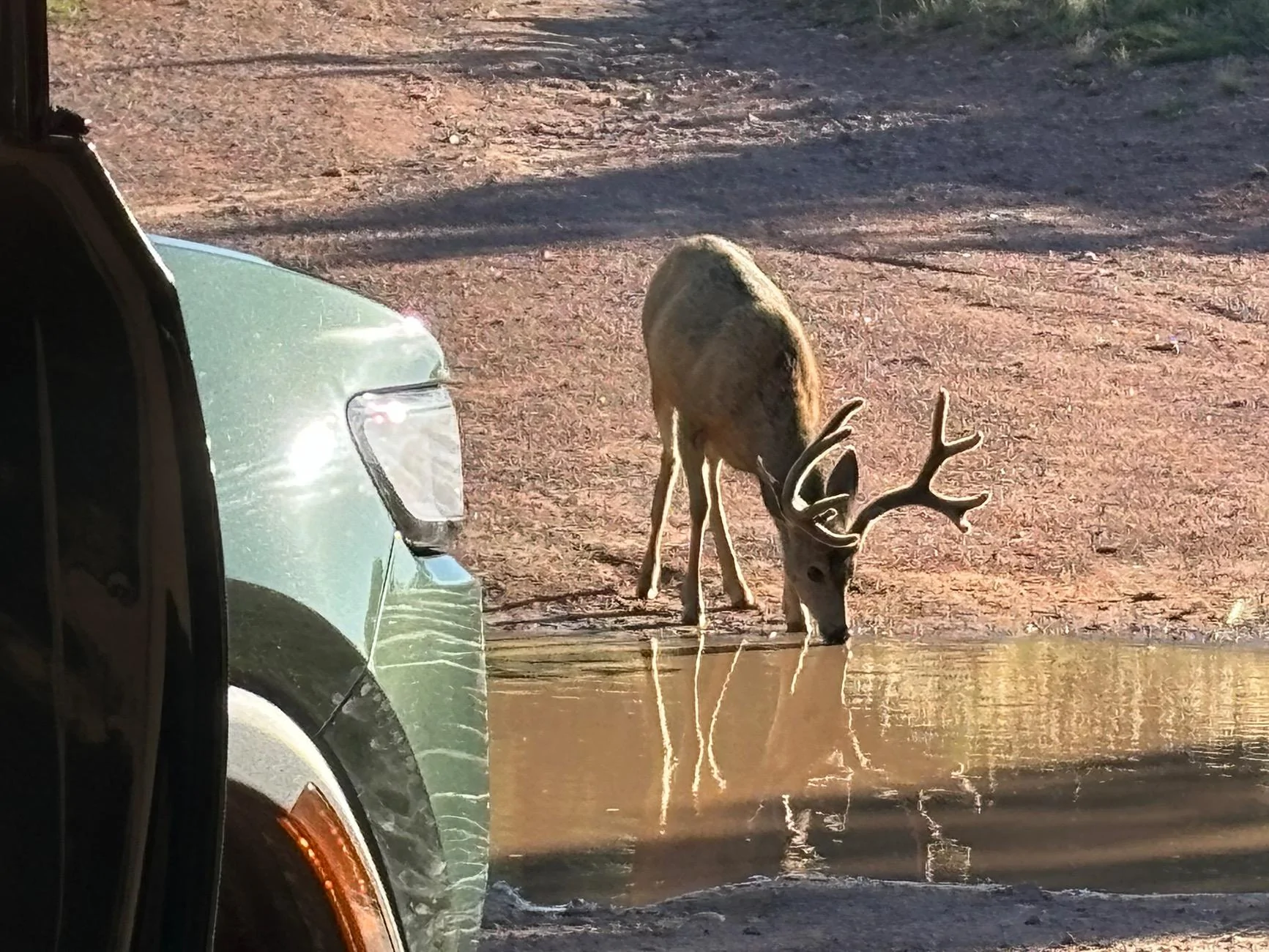Rivian R1T R1S Post your latest camping pictures. IMG_0359