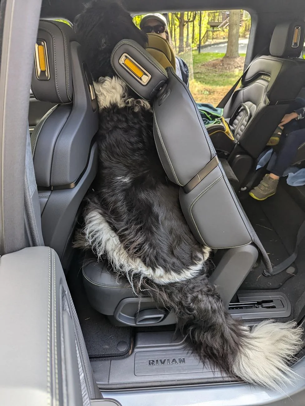 Rivian R1T R1S Dogs and Rivians ? PXL_20240930_185317212