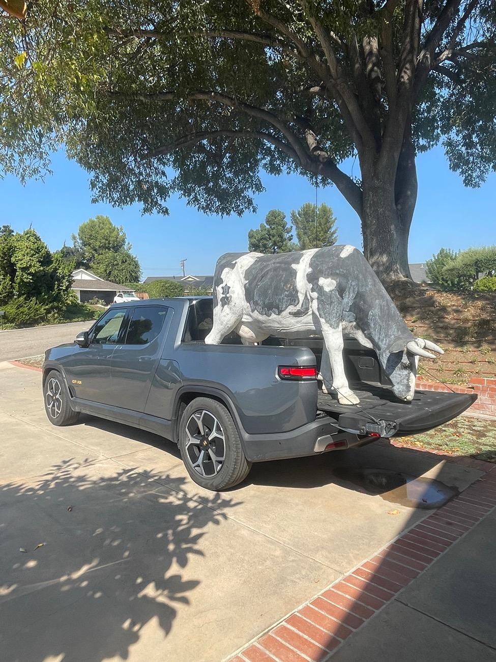 Rivian R1T R1S Another Rivian just doing truck things!! ? IMG_6666