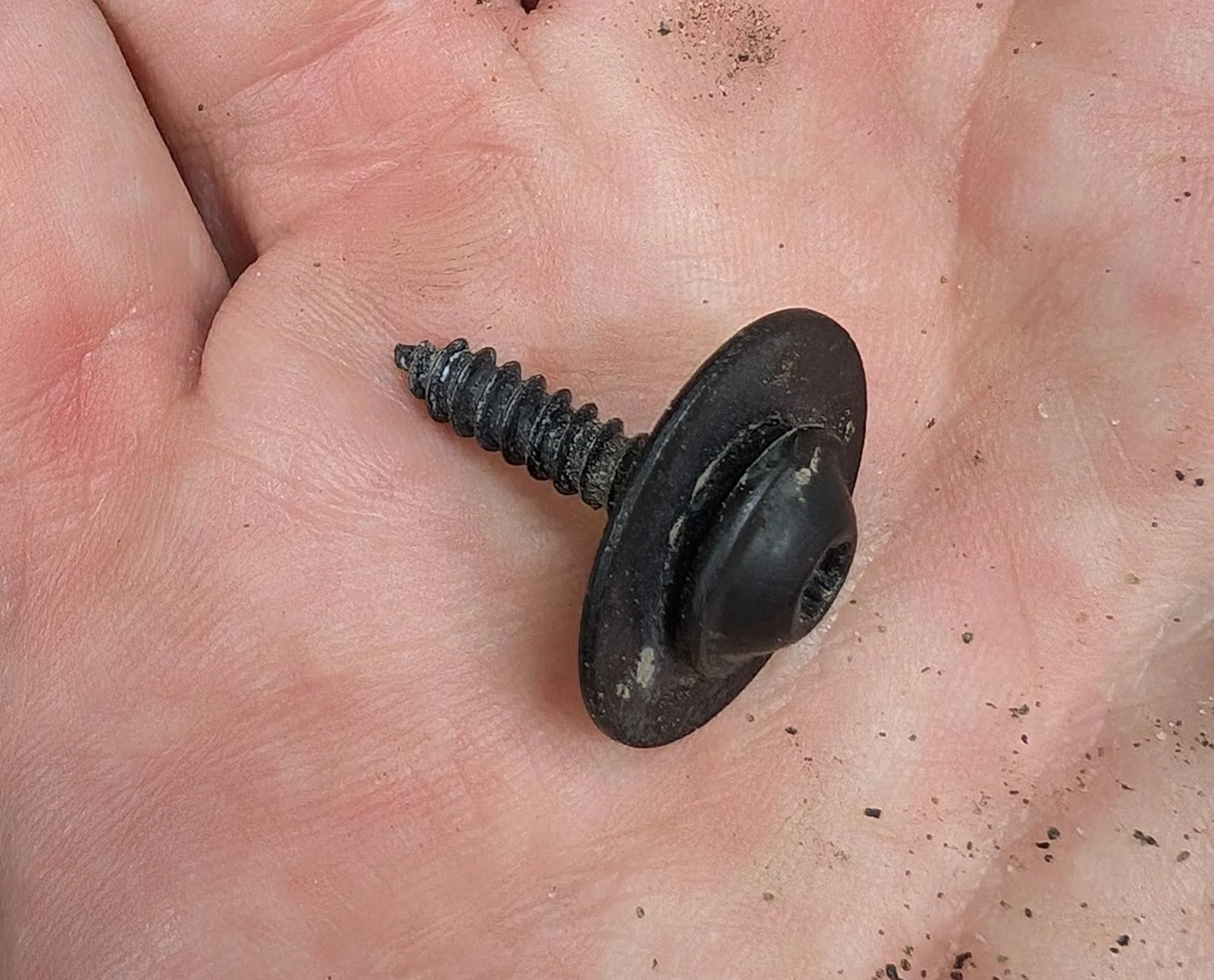 Rivian R1T R1S Where to source replacement Torx bolts? 1728339682579-m6