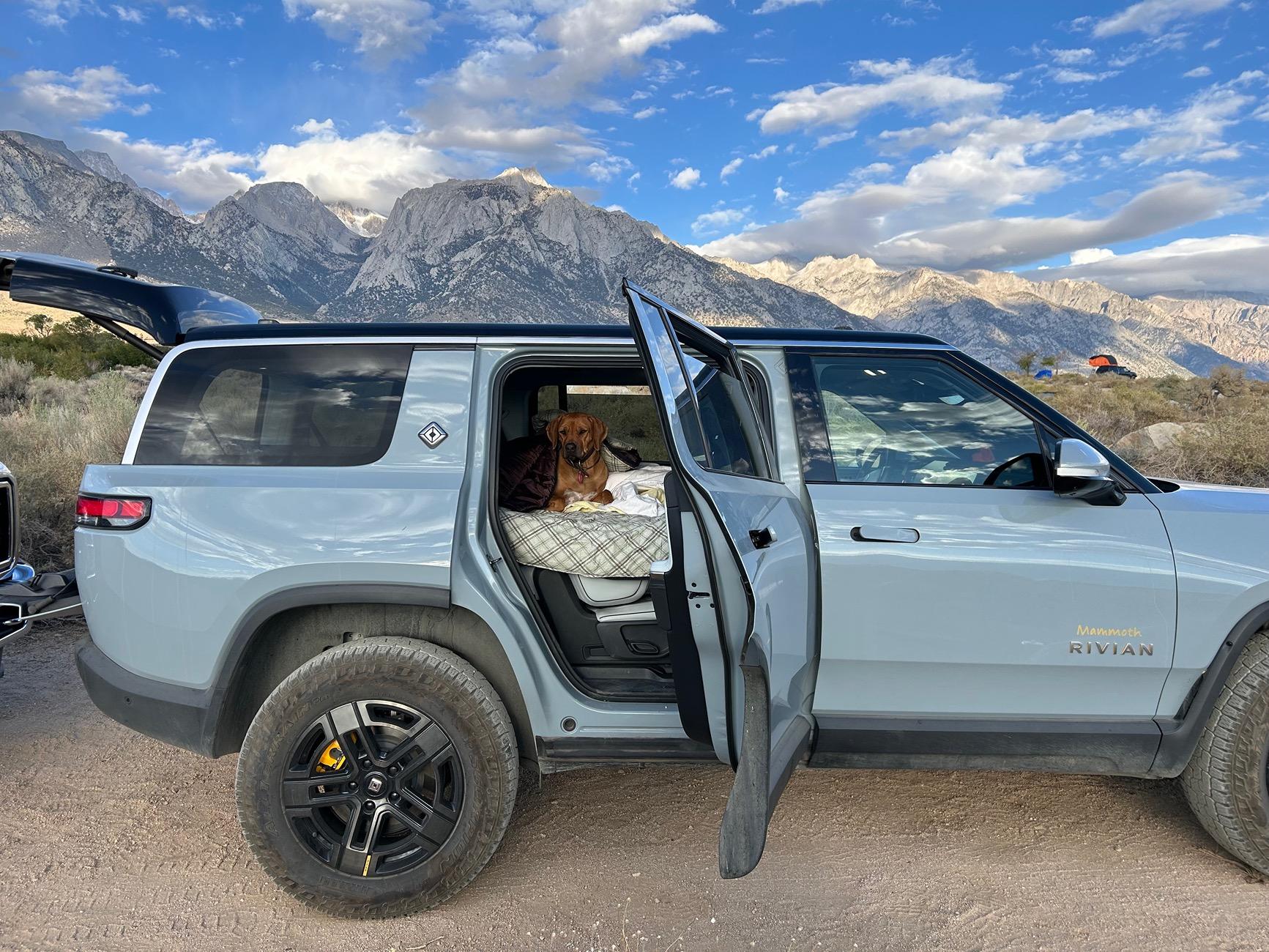 Rivian R1T R1S Dogs and Rivians ? IMG_2038