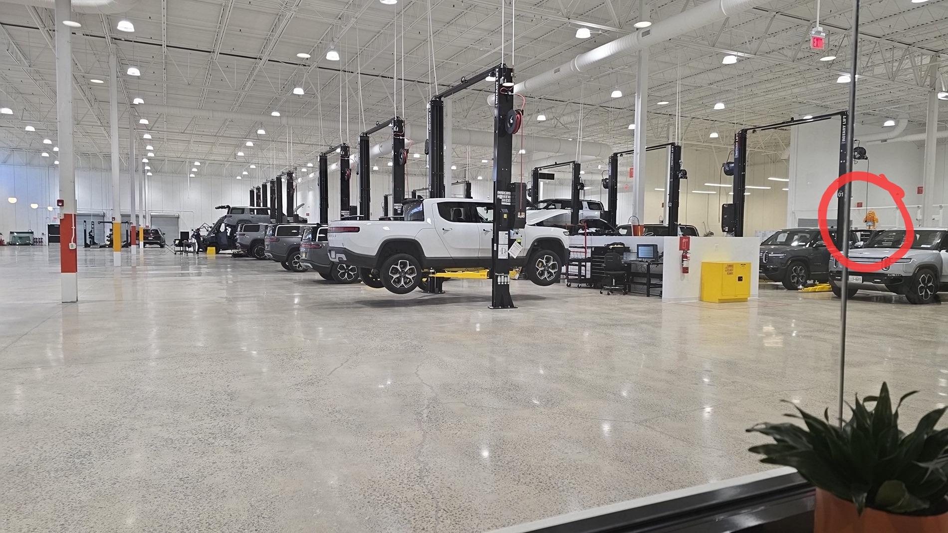 Rivian R1T R1S Gary Piñata? 1000056799