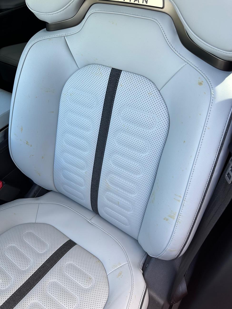 Rivian R1T R1S Spots appearing on seat and armrest IMG_9090