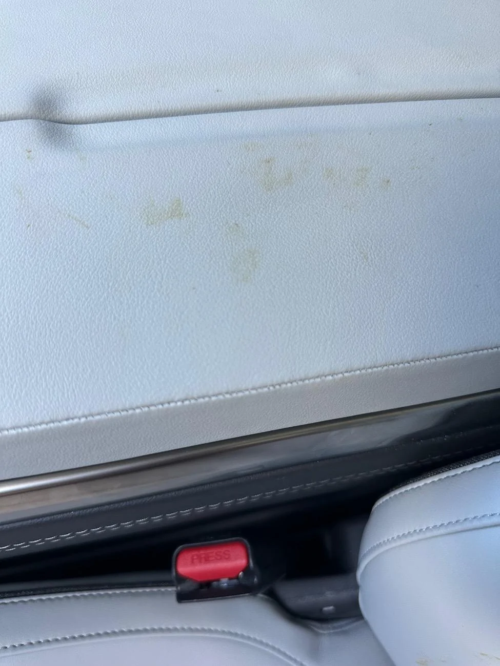 Rivian R1T R1S Spots appearing on seat and armrest IMG_9088