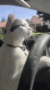 Rivian R1T R1S Tire size recalibration successful by mobile service cat-driving-cat