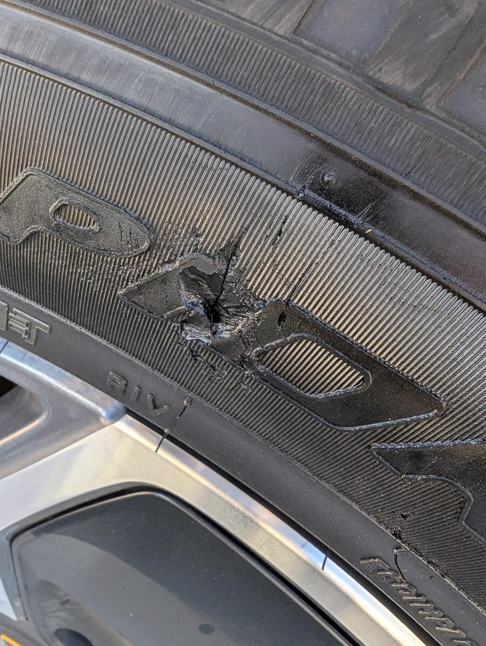Rivian R1T R1S Tire Sidewall damage? Should I replace? 2024-12-01 12.23.05