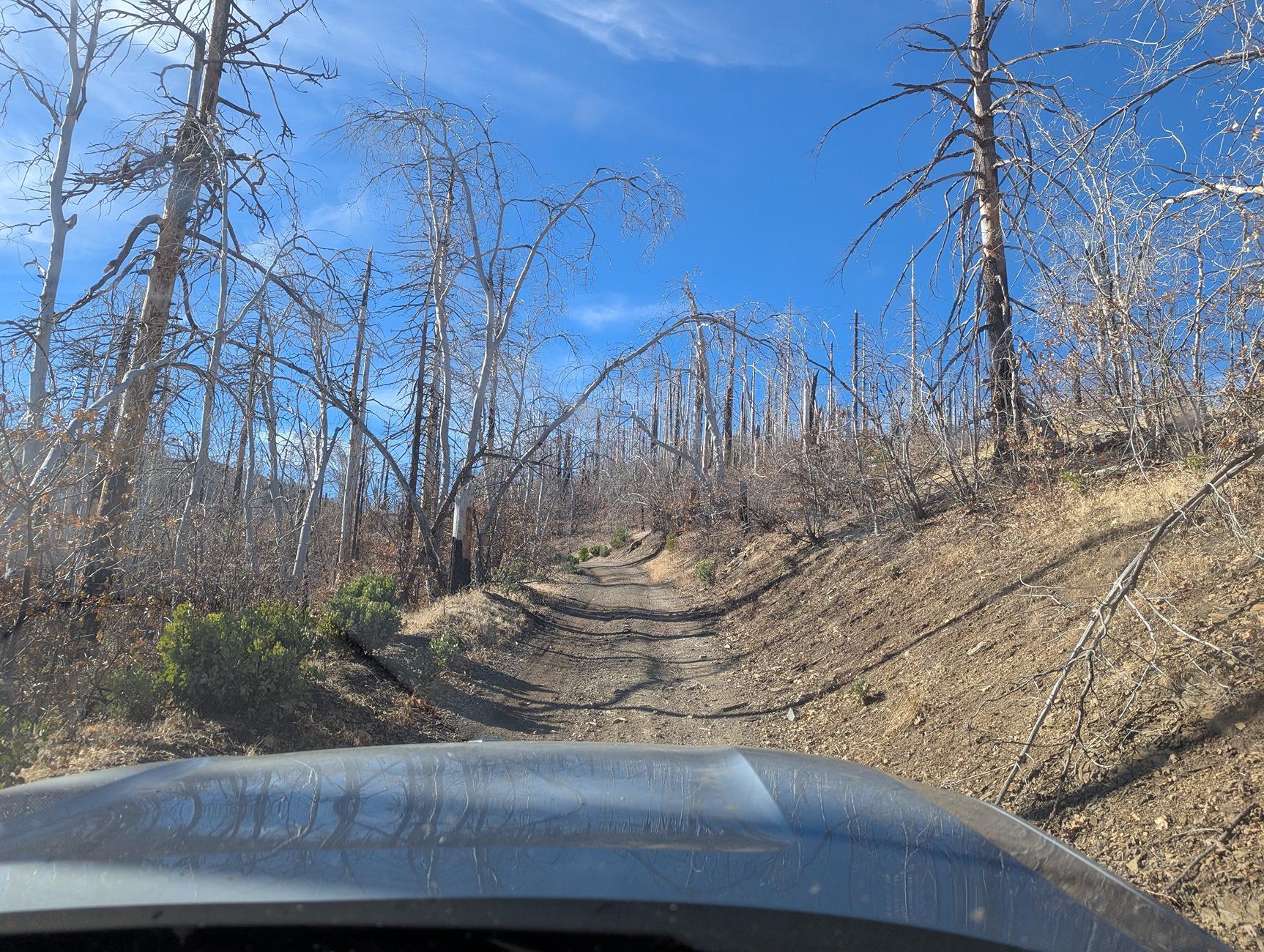 Rivian R1T R1S Mendocino National Forest Overnight R1S Camping (2h North of San Francisco) PXL_20241206_201953404