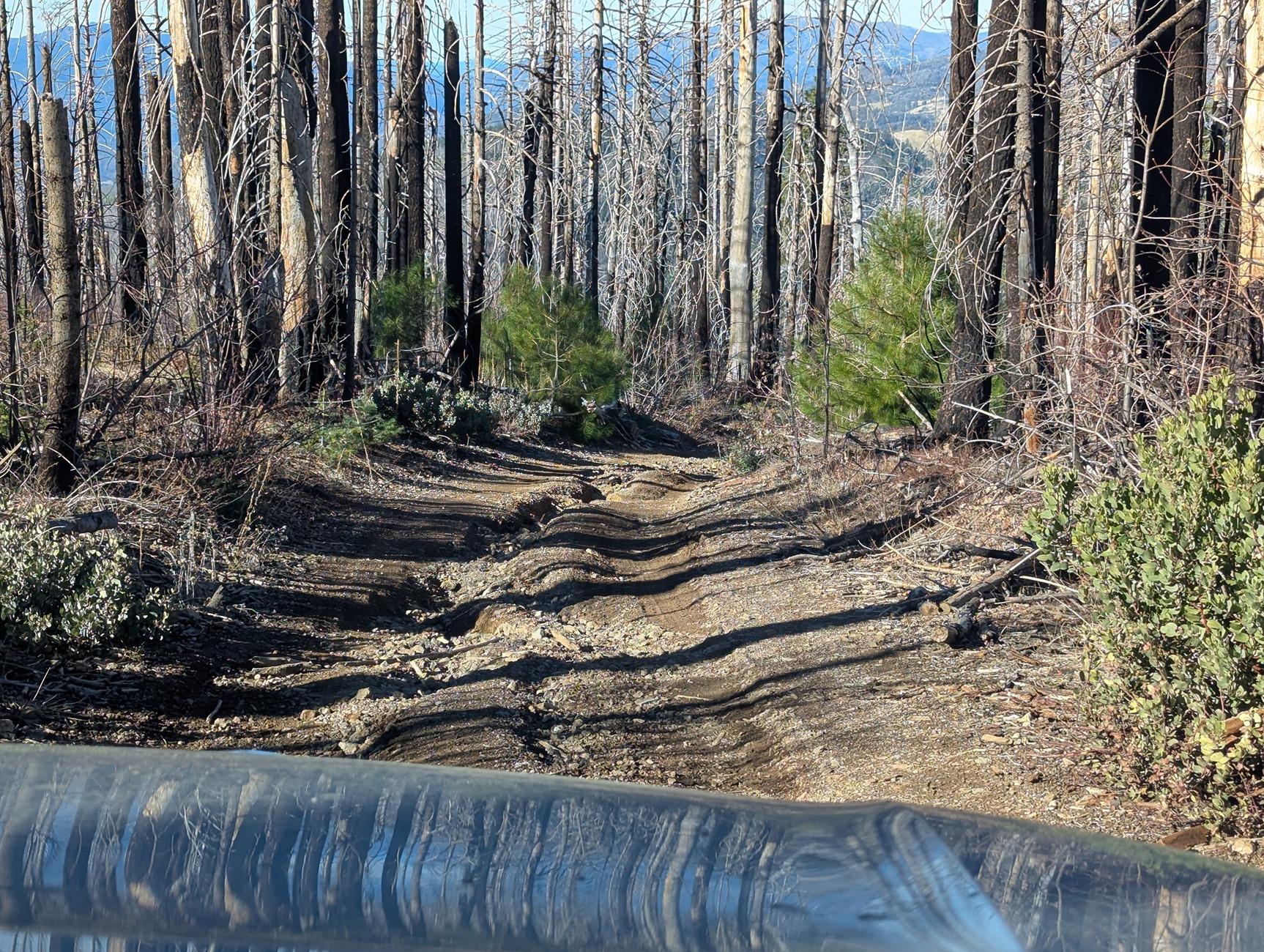Rivian R1T R1S Mendocino National Forest Overnight R1S Camping (2h North of San Francisco) PXL_20241206_210546926