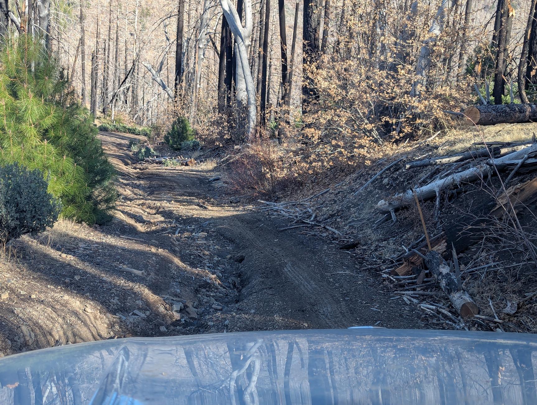 Rivian R1T R1S Mendocino National Forest Overnight R1S Camping (2h North of San Francisco) PXL_20241206_214017028