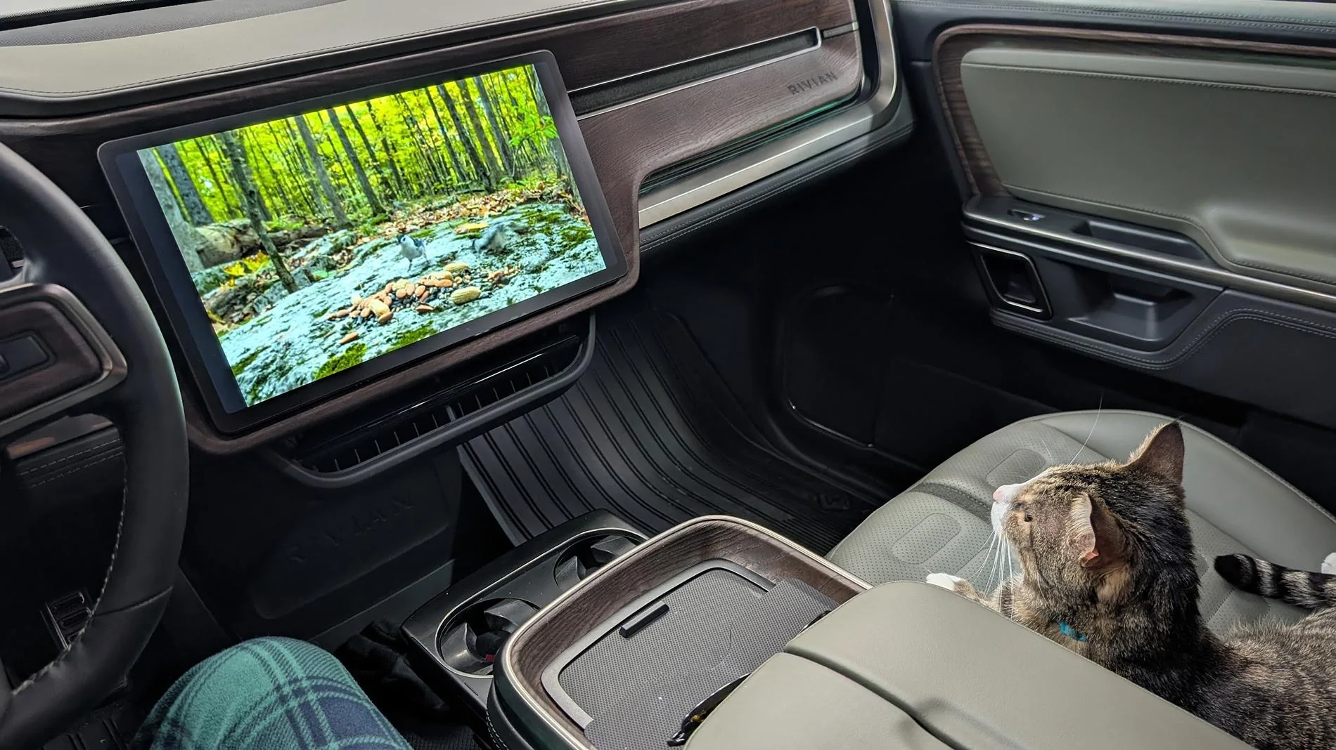 Some thoughts from the garage cats on Chromecast & YouTube app... | Rivian  Forum - R1T R1S R2 R3 News, Specs, Models, RIVN Stock -- Rivianforums.com