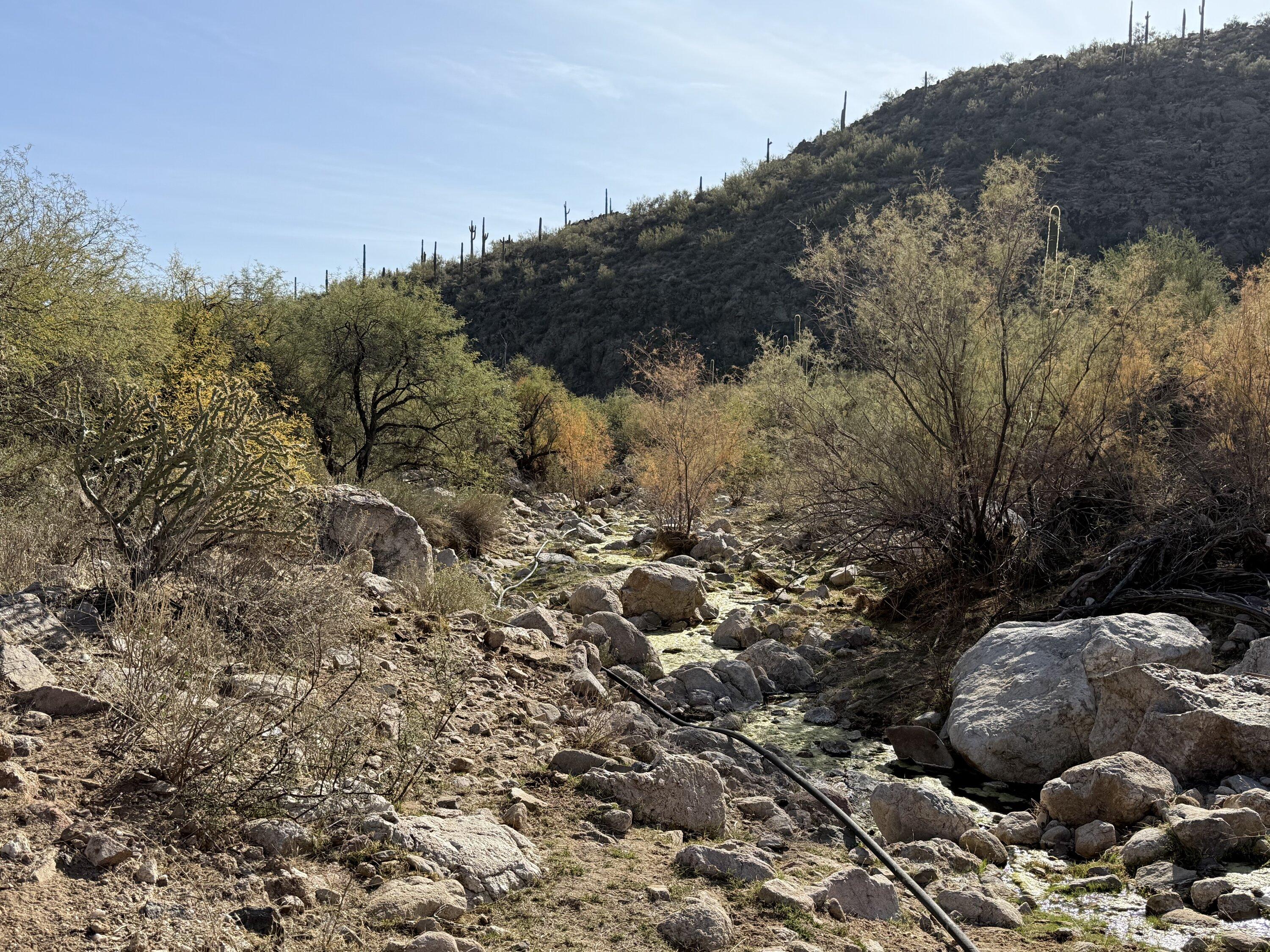 Rivian R1T R1S Off-Road Trip Report - Metro Phoenix, Arizona: China Dam/Tule Creek Homestead Trail (1/4/2025) China Dam Tule 1-4-2025 - 4c