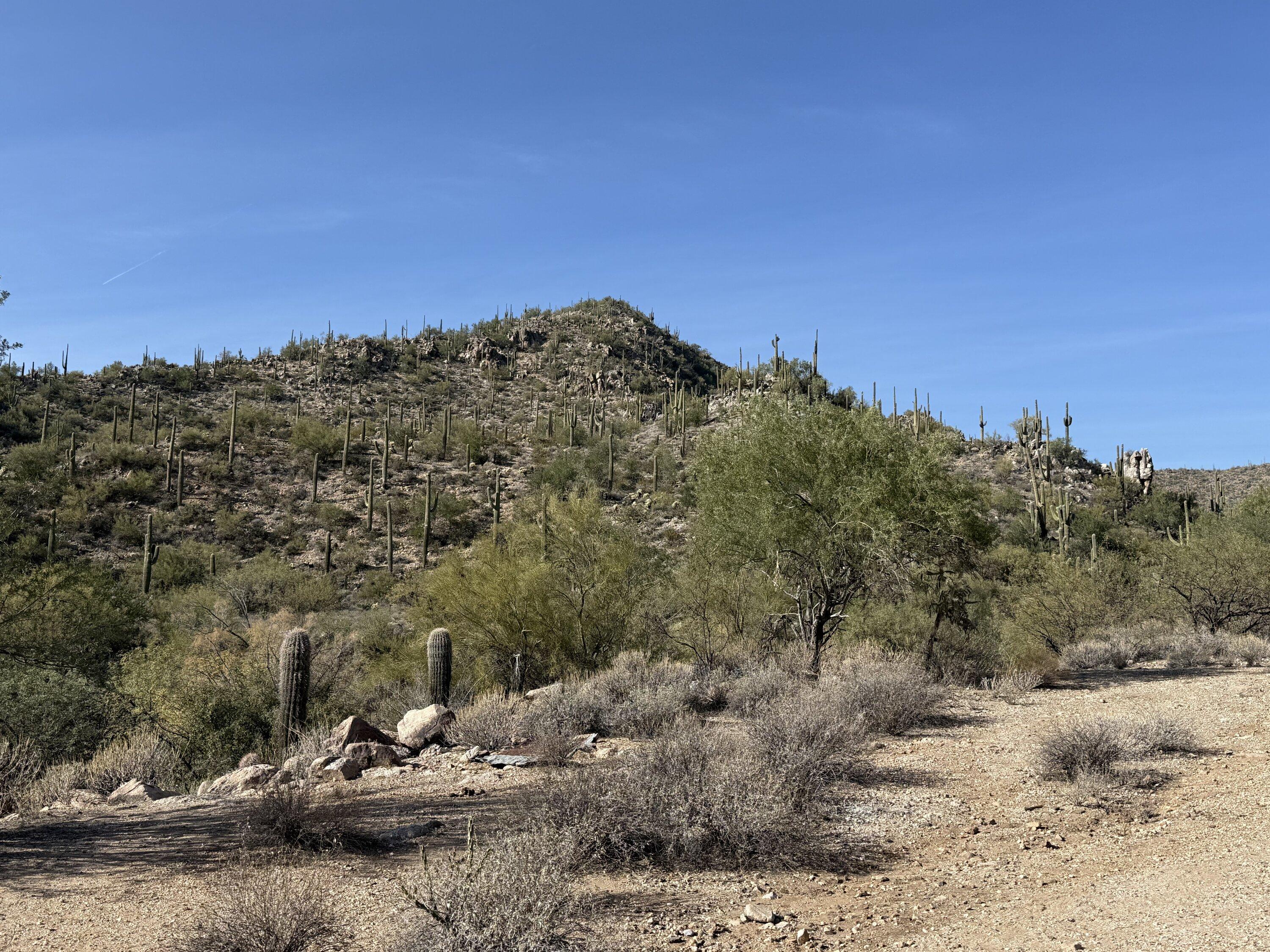 Rivian R1T R1S Off-Road Trip Report - Metro Phoenix, Arizona: China Dam/Tule Creek Homestead Trail (1/4/2025) China Dam Tule 1-4-2025 - 4b