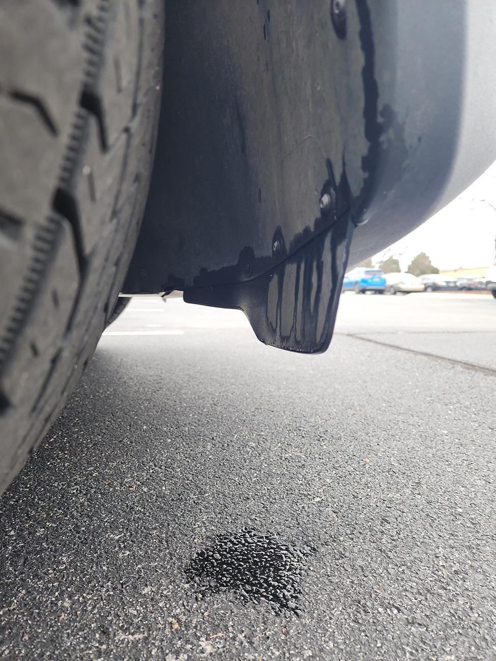 Rivian R1T R1S ? Blue fluid from front wheel well 20250121_132906