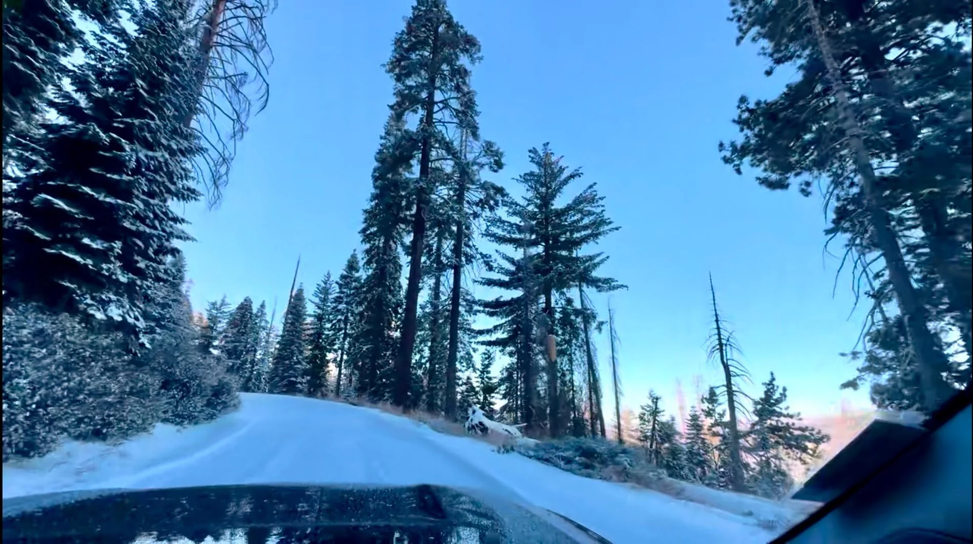 Rivian R1T R1S Random Rivian Photos of the Day - Post Yours! 📸 IMG_4607