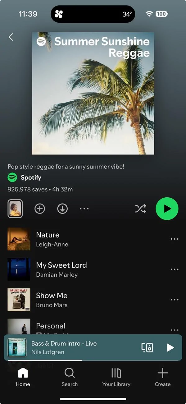Rivian R1T R1S Solution: Downloading Music on Spotify IMG_4201