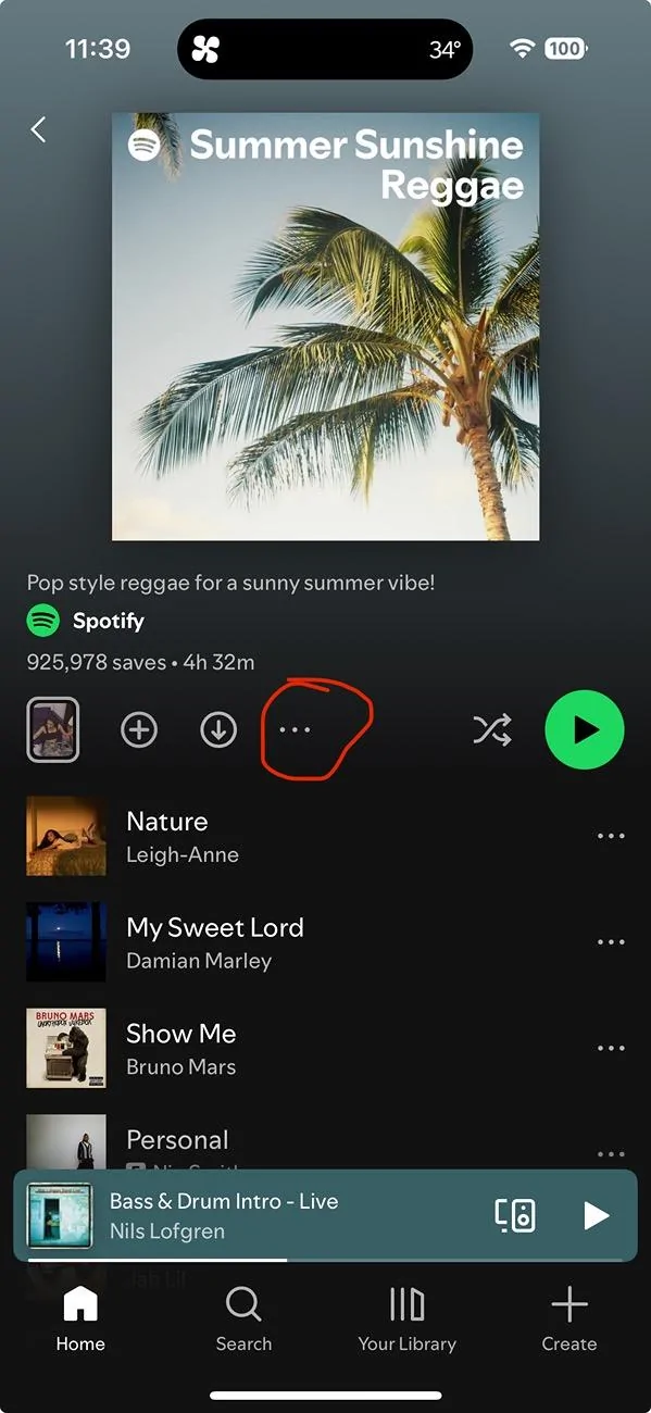 Rivian R1T R1S Solution: Downloading Music on Spotify IMG_4202