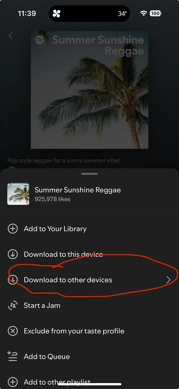 Rivian R1T R1S Solution: Downloading Music on Spotify IMG_4203