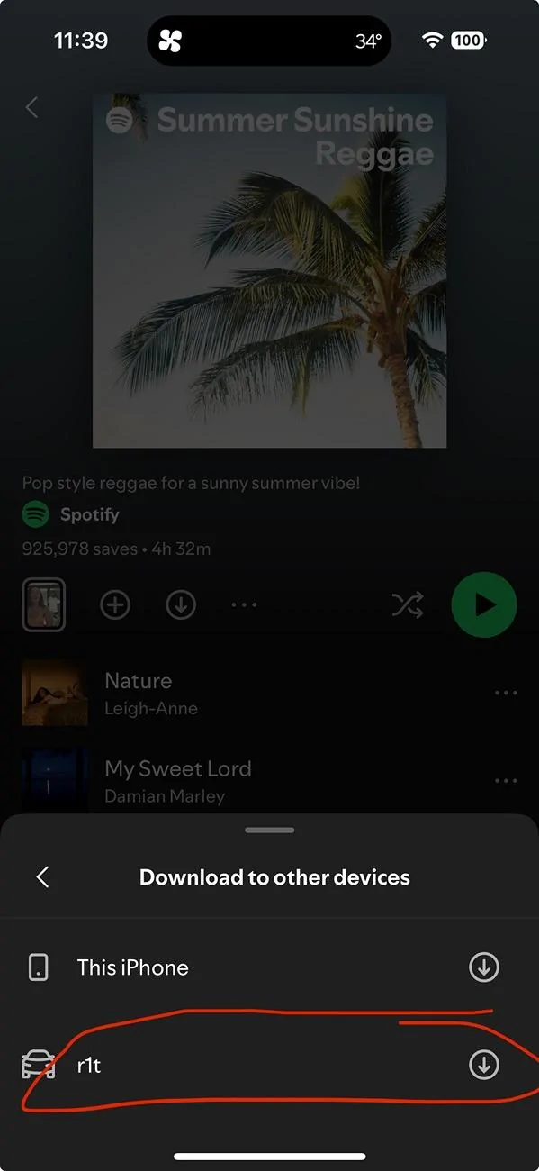 Rivian R1T R1S Solution: Downloading Music on Spotify IMG_4204