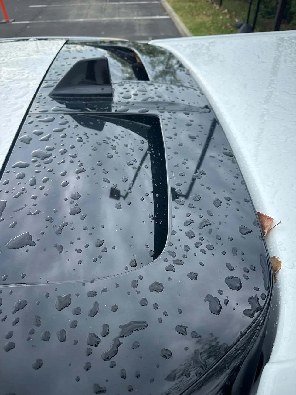 Rivian R1T R1S Leer Topper/Truck Cap coming soon ? IMG_1762
