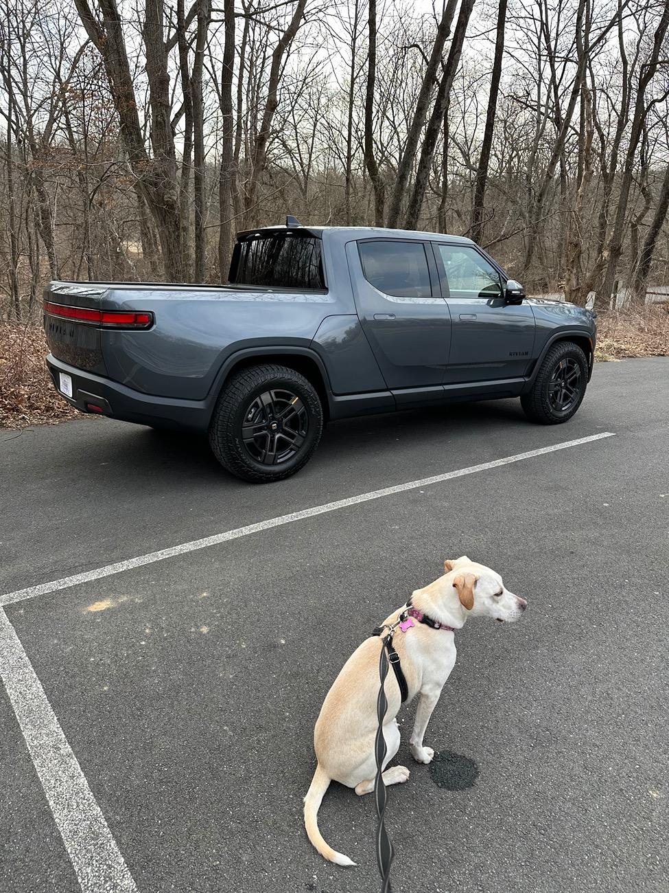Rivian R1T R1S Random Rivian Photos of the Day - Post Yours! 📸 IMG_1861