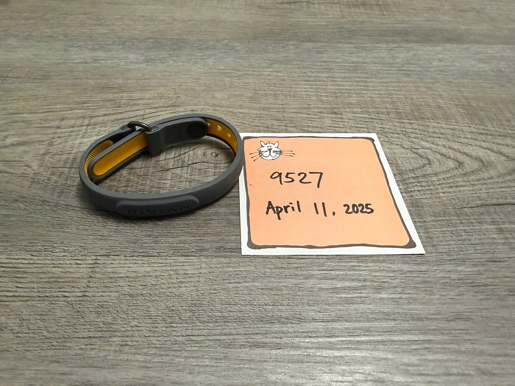 Rivian R1T R1S Wristband never worn IMG_0563