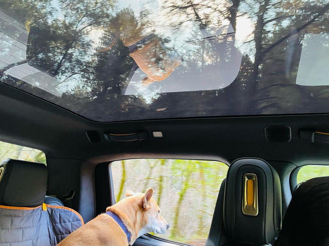 Rivian R1T R1S El CAP GRANITE Rivian Photos 271495848_670724991010654_4545289960748709215_n