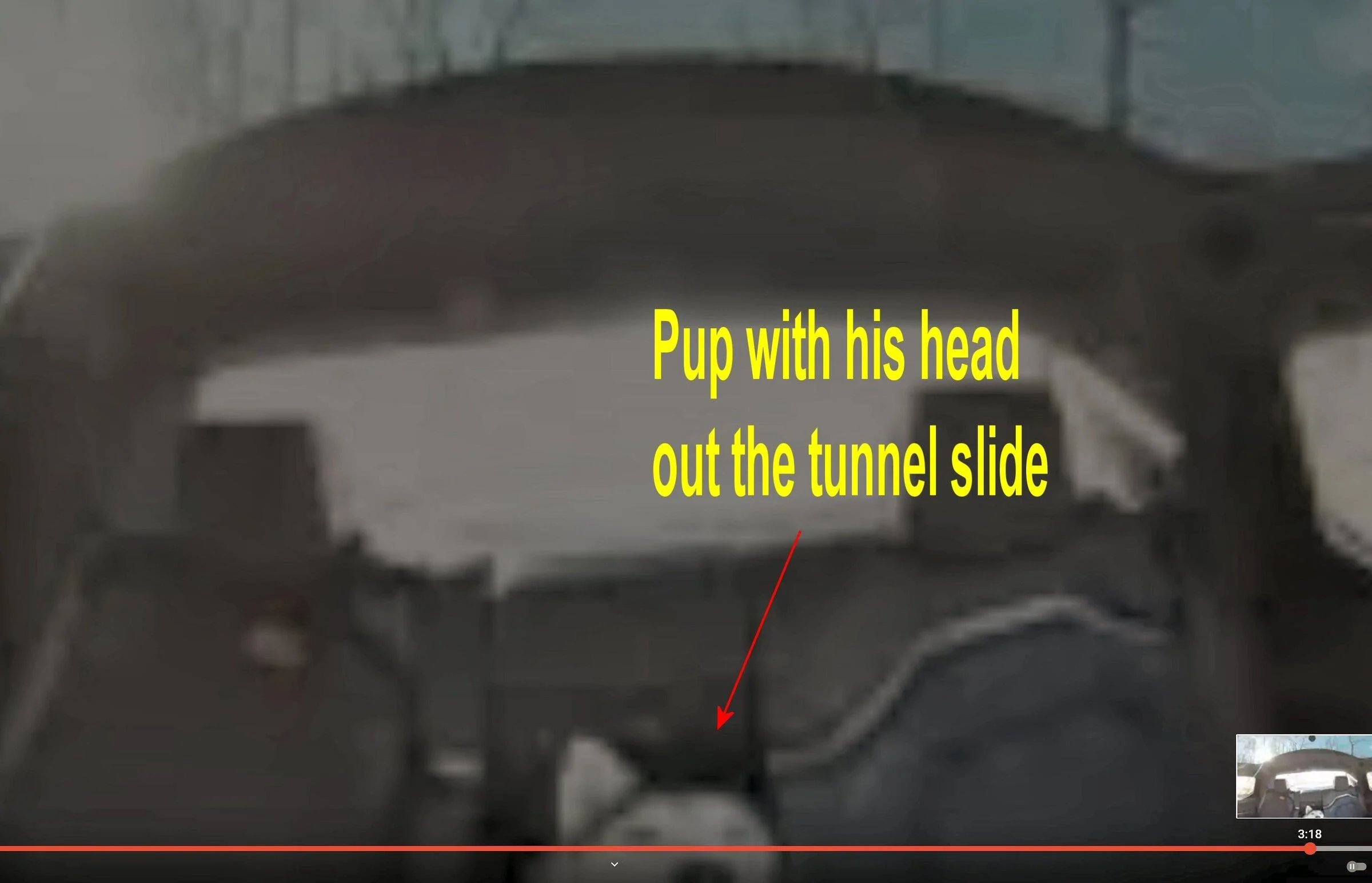 Rivian R1T R1S GEAR TUNNEL & PETS -- SAFE? Why or why not?? PupInGearTunnel