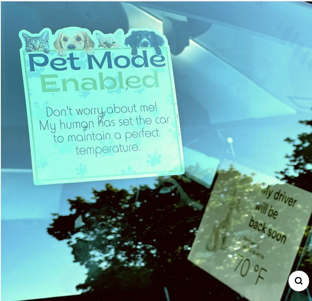 Rivian R1T R1S After having several warning notes posted on my windshield I designed this DOG MODE sign. 1746369677500-fg