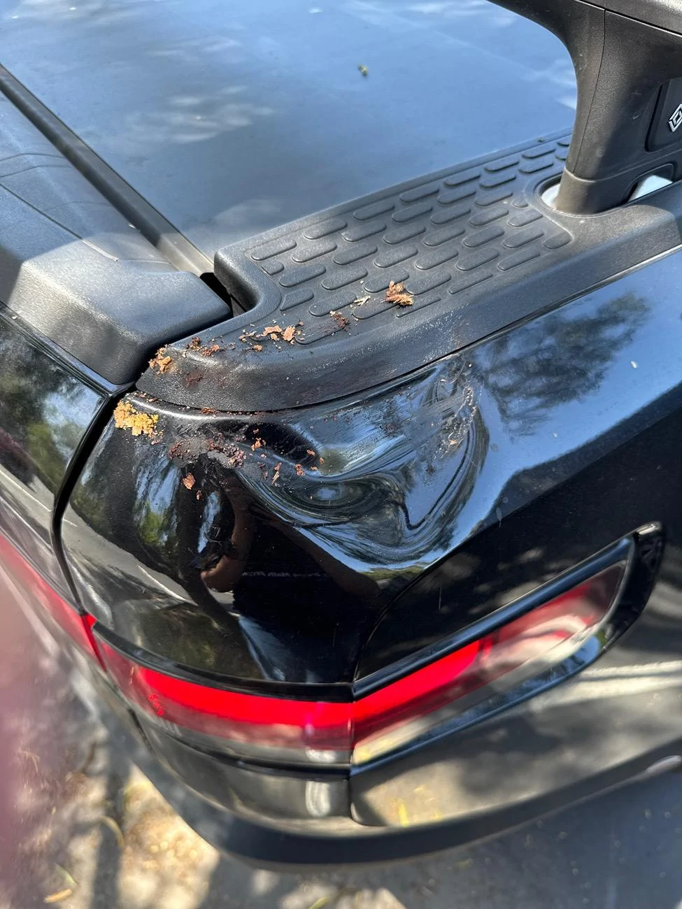 Rivian R1T R1S Is PDR able to fix this? 76963072346__F9439100-4745-4D4D-B9CE-3DD8D0B94503